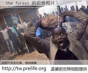 the forest 的前世相片