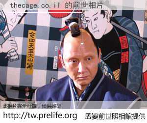 thecage.co.il 的前世相片