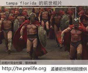 tampa florida 的前世相片
