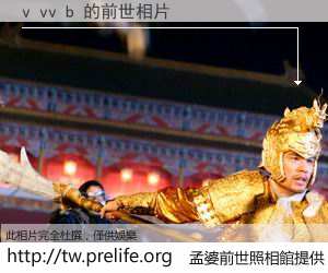v vv b 的前世相片
