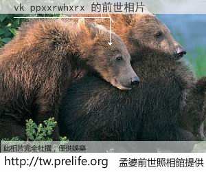 vk ppxxrwhxrx 的前世相片