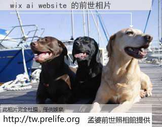 wix ai website 的前世相片