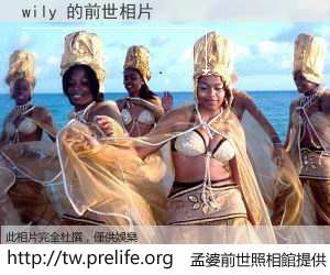 wily 的前世相片