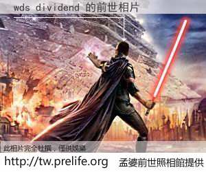 wds dividend 的前世相片