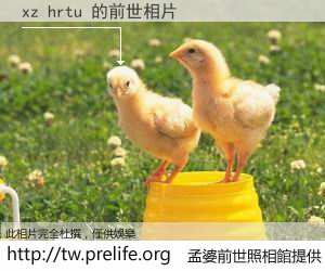 xz hrtu 的前世相片