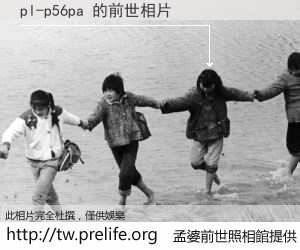 pl-p56pa 的前世相片
