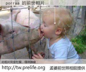 porraa 的前世相片