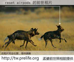 reset airpods 的前世相片