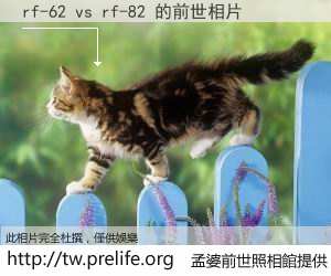 rf-62 vs rf-82 的前世相片