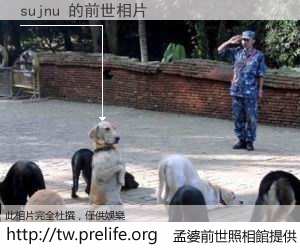 sujnu 的前世相片