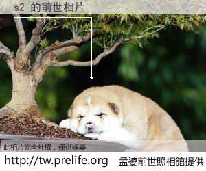 s2 的前世相片