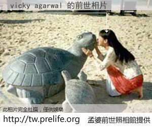 vicky agarwal 的前世相片