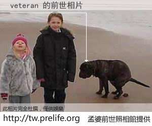 veteran 的前世相片