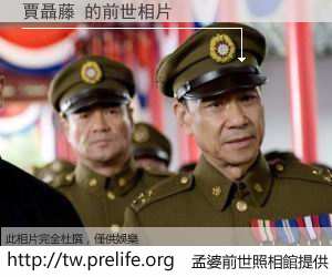 賈聶藤 的前世相片