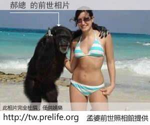 郝總 的前世相片