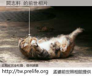 闕志軒 的前世相片