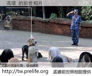 馮璟 的前世相片