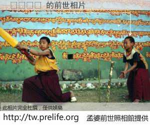 보지모양 的前世相片