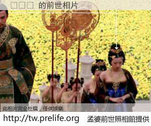 티비팬 的前世相片