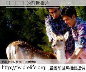 ไวจั 的前世相片
