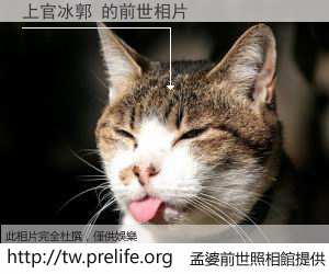 上官冰郭 的前世相片