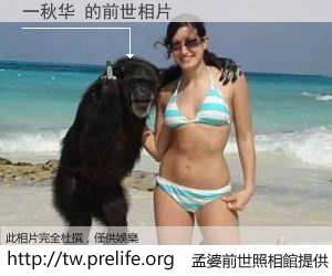 一秋华 的前世相片