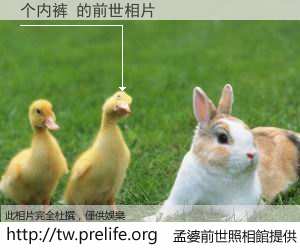 个内裤 的前世相片