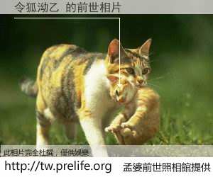 令狐泑乙 的前世相片