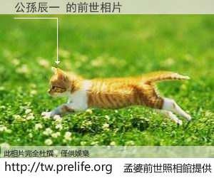 公孫辰一 的前世相片