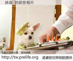 姚葆 的前世相片