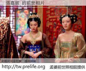 張嘉妮 的前世相片