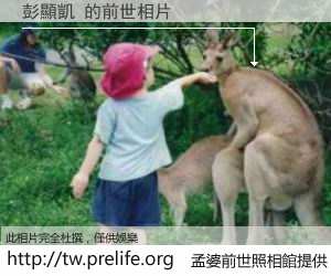 彭顯凱 的前世相片