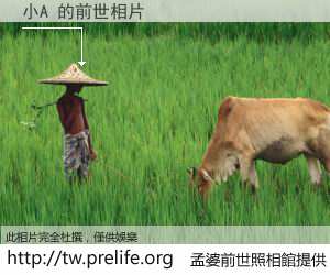 小A 的前世相片