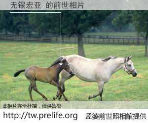 无锡宏亚 的前世相片