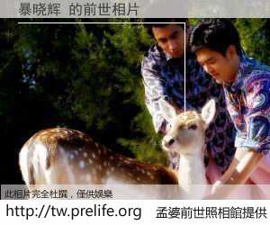 暴晓辉 的前世相片