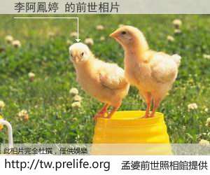 李阿鳳婷 的前世相片