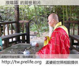 濮陽躡 的前世相片