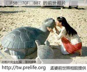 �F58�7CF�B87 的前世相片