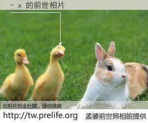 - x 的前世相片