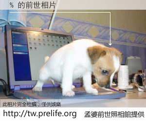 % 的前世相片