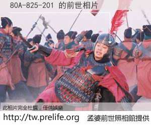 80A-825-201 的前世相片