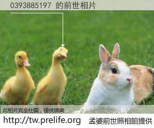 0393885197 的前世相片