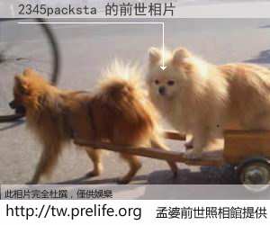 2345packsta 的前世相片