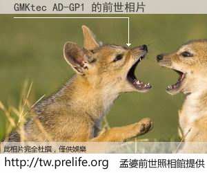 GMKtec AD-GP1 的前世相片
