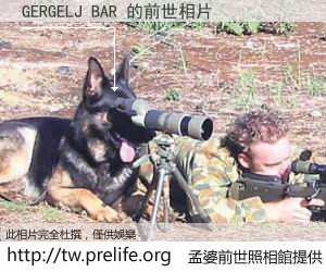 GERGELJ BAR 的前世相片