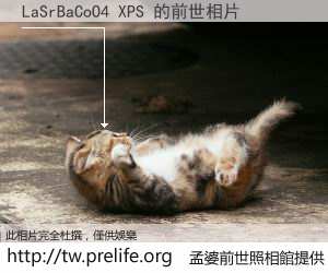 LaSrBaCoO4 XPS 的前世相片