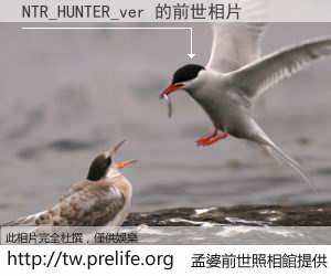 NTR_HUNTER_ver 的前世相片
