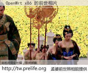 OpenWrt x86 的前世相片