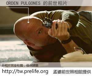 ORDEN PULGONES 的前世相片