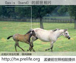 Oasis (band) 的前世相片